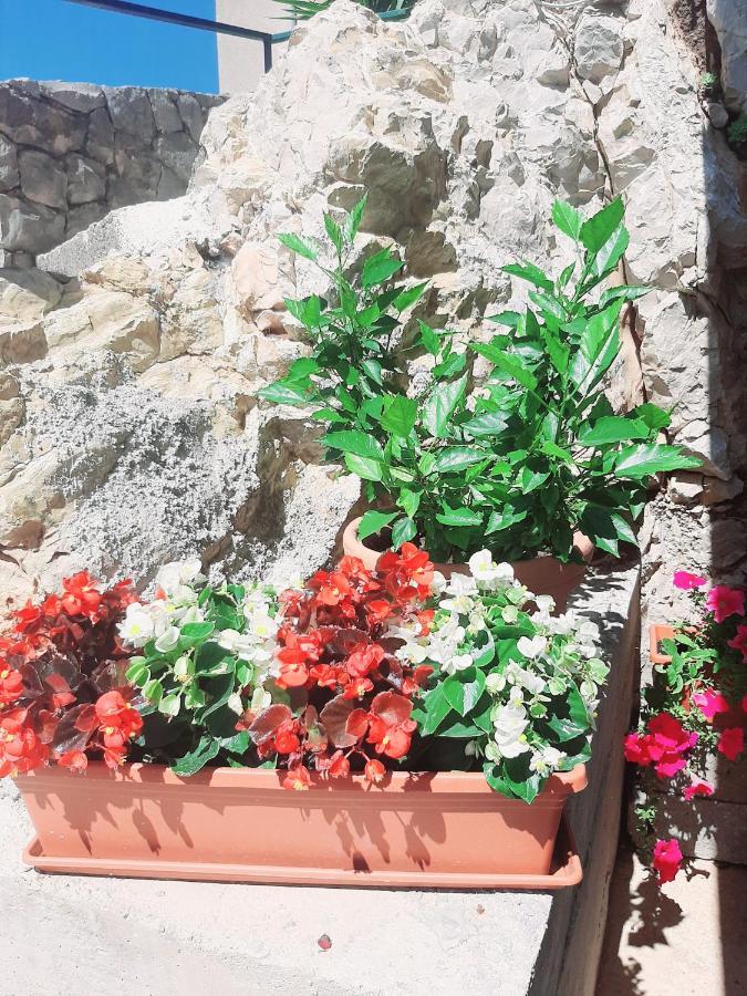 Apartments Tonkita With Jacuzzi Μακάρσκα Εξωτερικό φωτογραφία